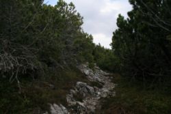 2011-04-24_Regina-F-Rau_Brunnstein-Spitze (093).JPG